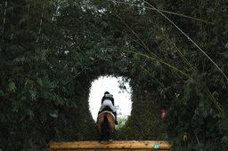 Cross country obstacle, 3 day eventing, Rio Summer Games, 2016